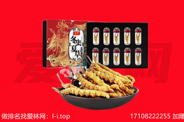 海南省文昌市回收虫草.jpg